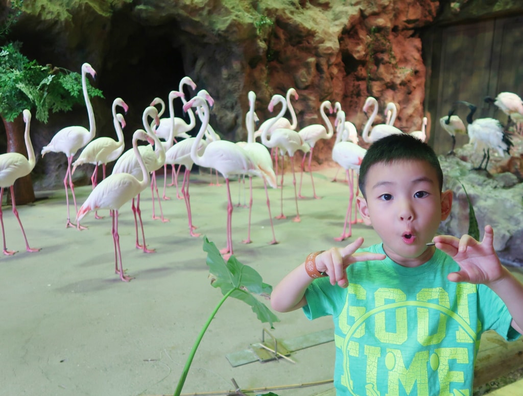 20251108-bqjeb 20251108-bqjeb