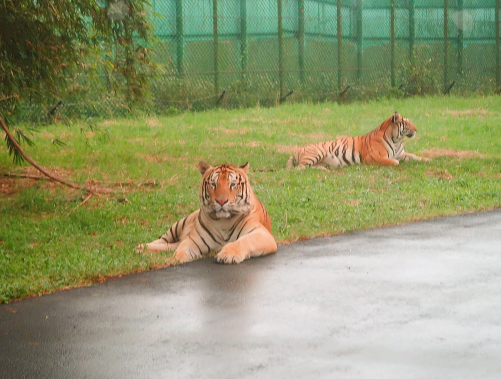 20251108-gwub0 20251108-gwub0