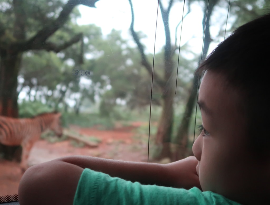 20251108-s9l9t 20251108-s9l9t