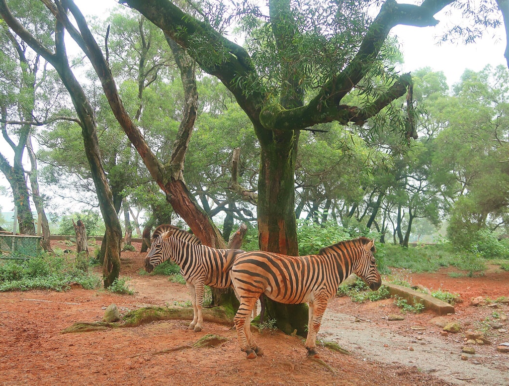 20251108-vg3z1 20251108-vg3z1