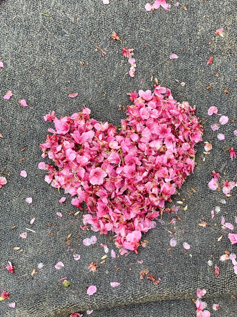 20251108-41e4b 20251108-41e4b