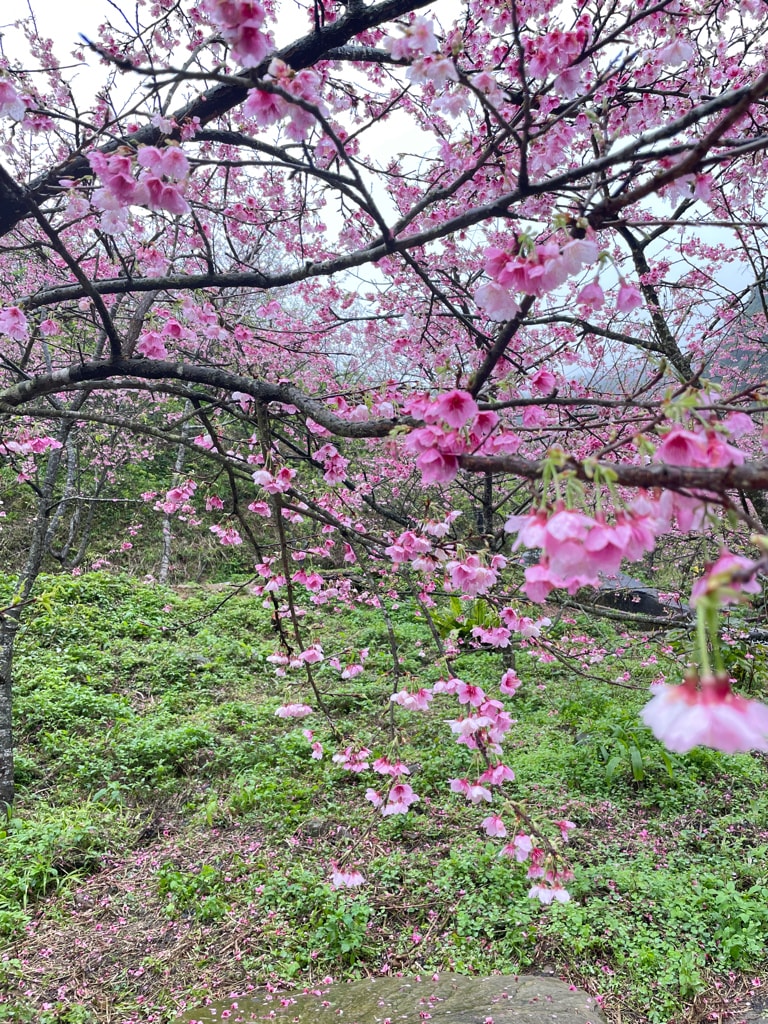 20251108-4wzbn 20251108-4wzbn