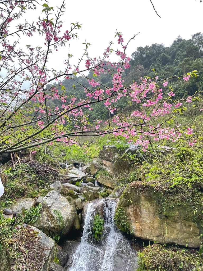 20251108-77znv 20251108-77znv