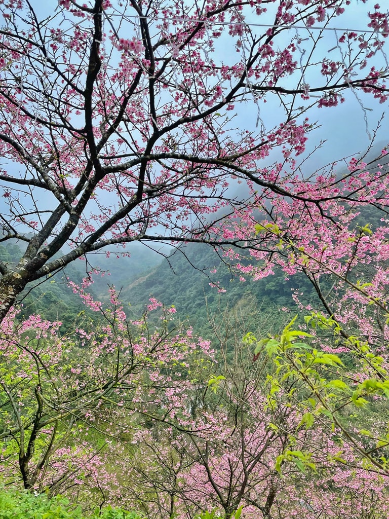 20251108-qtxp2 20251108-qtxp2