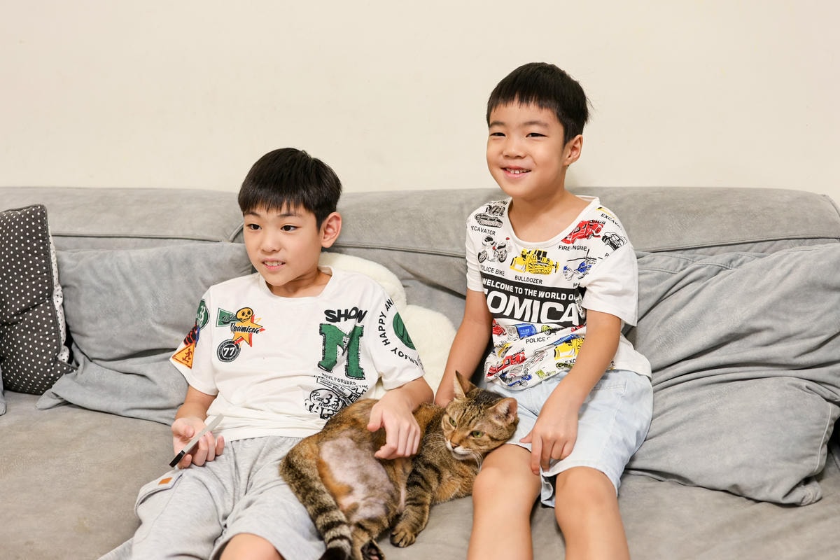 【追劇必備】順暢連網不間斷『中嘉寬頻』WIFI超覆蓋，性價比