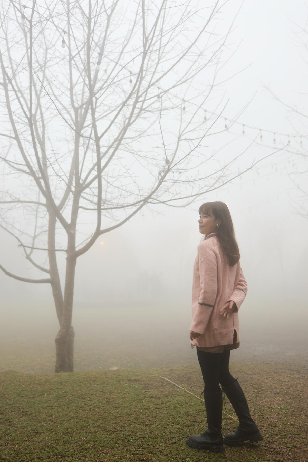 【新竹豪華露營】一泊二食豪華親子露營『霧繞WooRao』