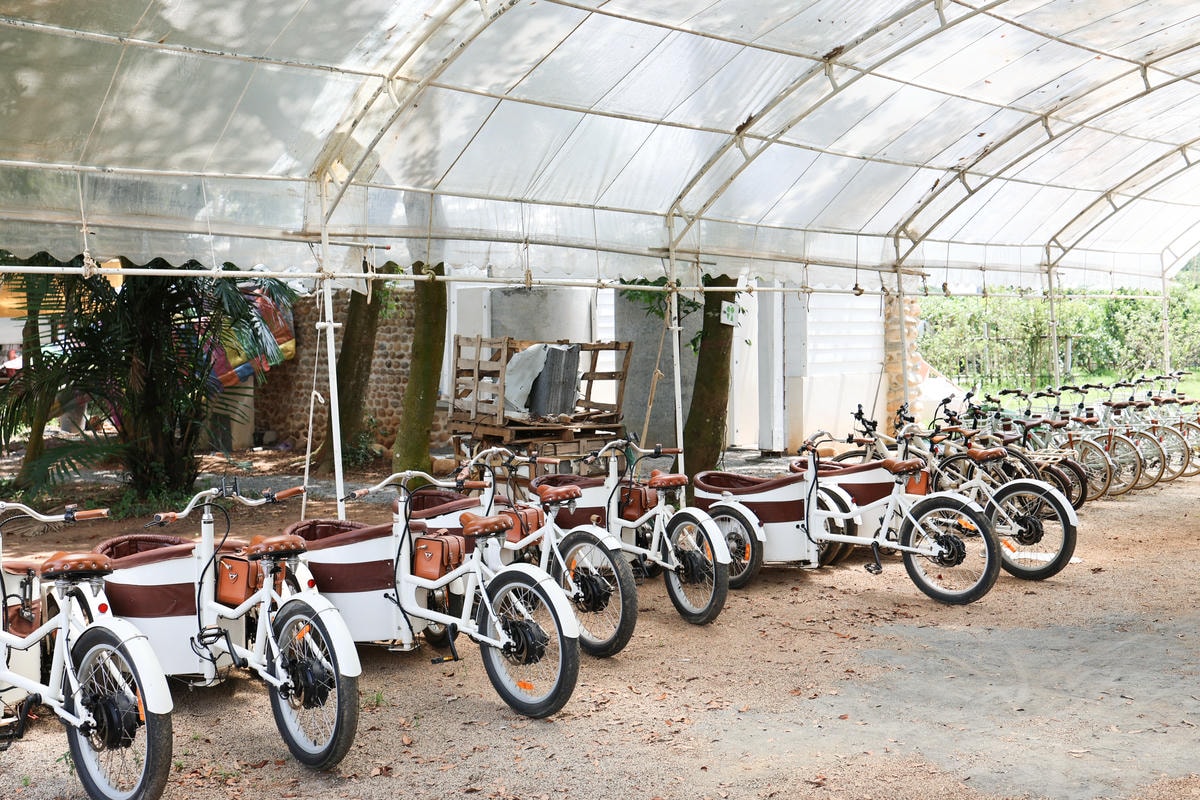 【苗栗豪華露營】苗栗卓蘭『小巷清風』懶人露營推薦，頂級豪華露