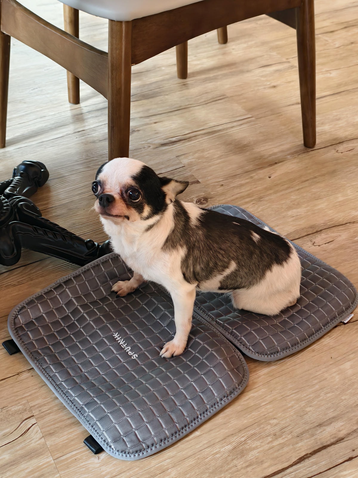 【林口美食】TOASTERiA CAFE 林口三井店|全新登 【林口美食】TOASTERiA CAFE 林口三井店|全新登