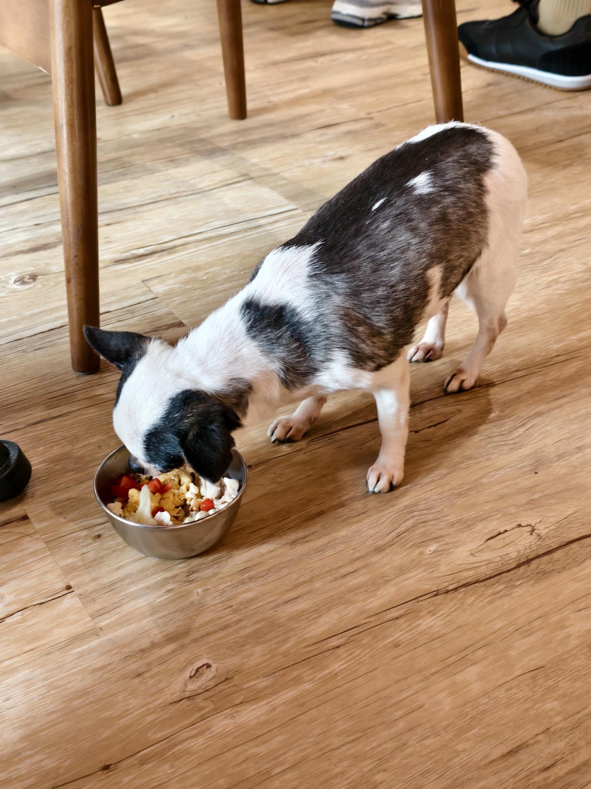 【林口美食】TOASTERiA CAFE 林口三井店|全新登 【林口美食】TOASTERiA CAFE 林口三井店|全新登