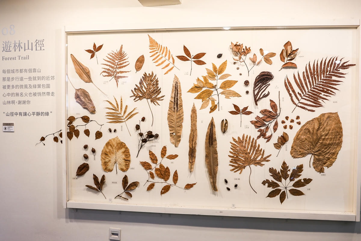 【台中住宿】西屯路上鄰近逢甲夜市，親子童趣房『葉綠宿 Gre