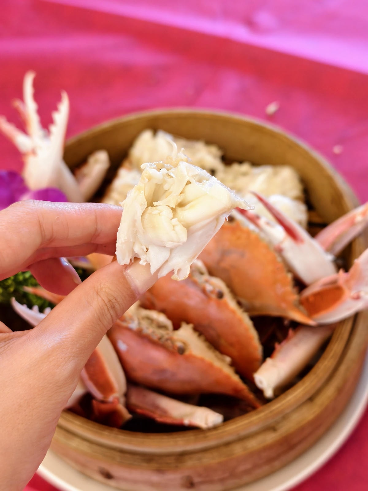 【萬里親子一日遊推薦】吃秋蟹『楓味萬里蟹』、免費足湯溫泉蛋『 【萬里親子一日遊推薦】吃秋蟹『楓味萬里蟹』、免費足湯溫泉蛋『