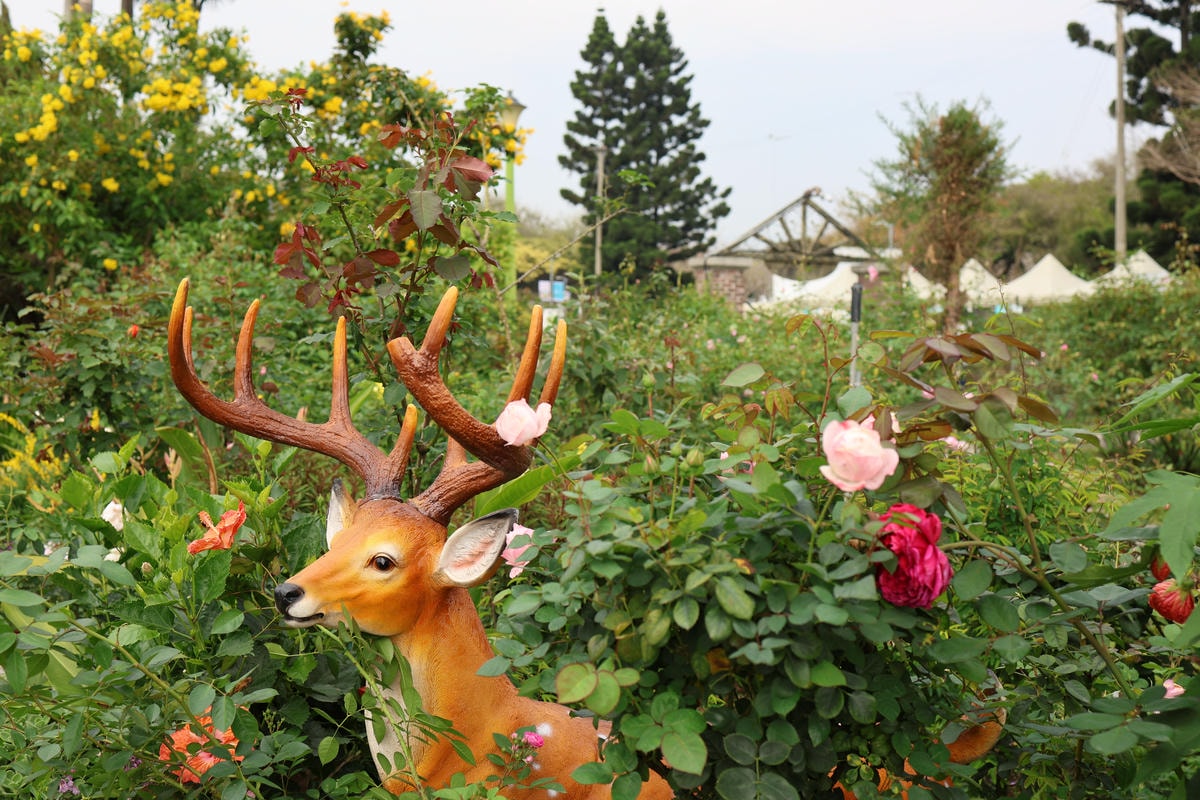 【台北景點】共融公園溜滑梯,2024全台最大玫瑰花園花展來囉 【台北景點】共融公園溜滑梯,2024全台最大玫瑰花園花展來囉