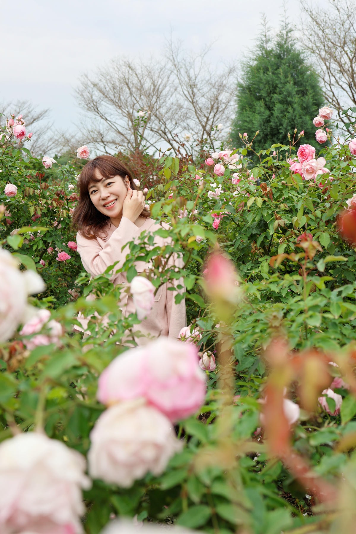 【台北景點】共融公園溜滑梯,2024全台最大玫瑰花園花展來囉 【台北景點】共融公園溜滑梯,2024全台最大玫瑰花園花展來囉