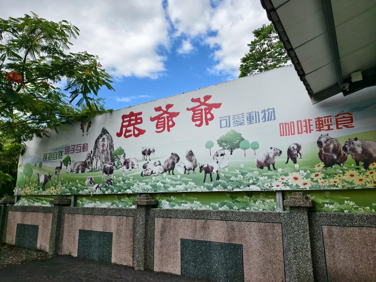 【宜蘭親子景點】鹿爺爺農場|零距離餵小鹿、水豚、狐獴!小孩放