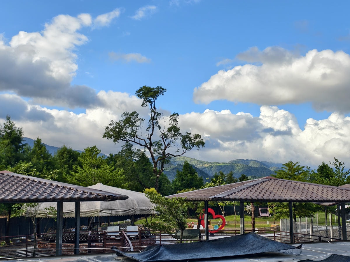 【宜蘭親子景點】鹿爺爺農場|零距離餵小鹿、水豚、狐獴!小孩放 【宜蘭親子景點】鹿爺爺農場|零距離餵小鹿、水豚、狐獴!小孩放