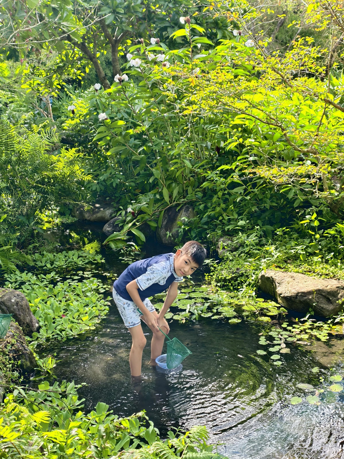 【宜蘭親子景點】田媽媽花泉休閒農場|野薑花海、清涼湧泉戲水池 【宜蘭親子景點】田媽媽花泉休閒農場|野薑花海、清涼湧泉戲水池