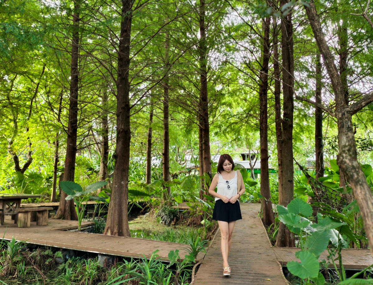 【宜蘭親子景點】田媽媽花泉休閒農場|野薑花海、清涼湧泉戲水池 【宜蘭親子景點】田媽媽花泉休閒農場|野薑花海、清涼湧泉戲水池