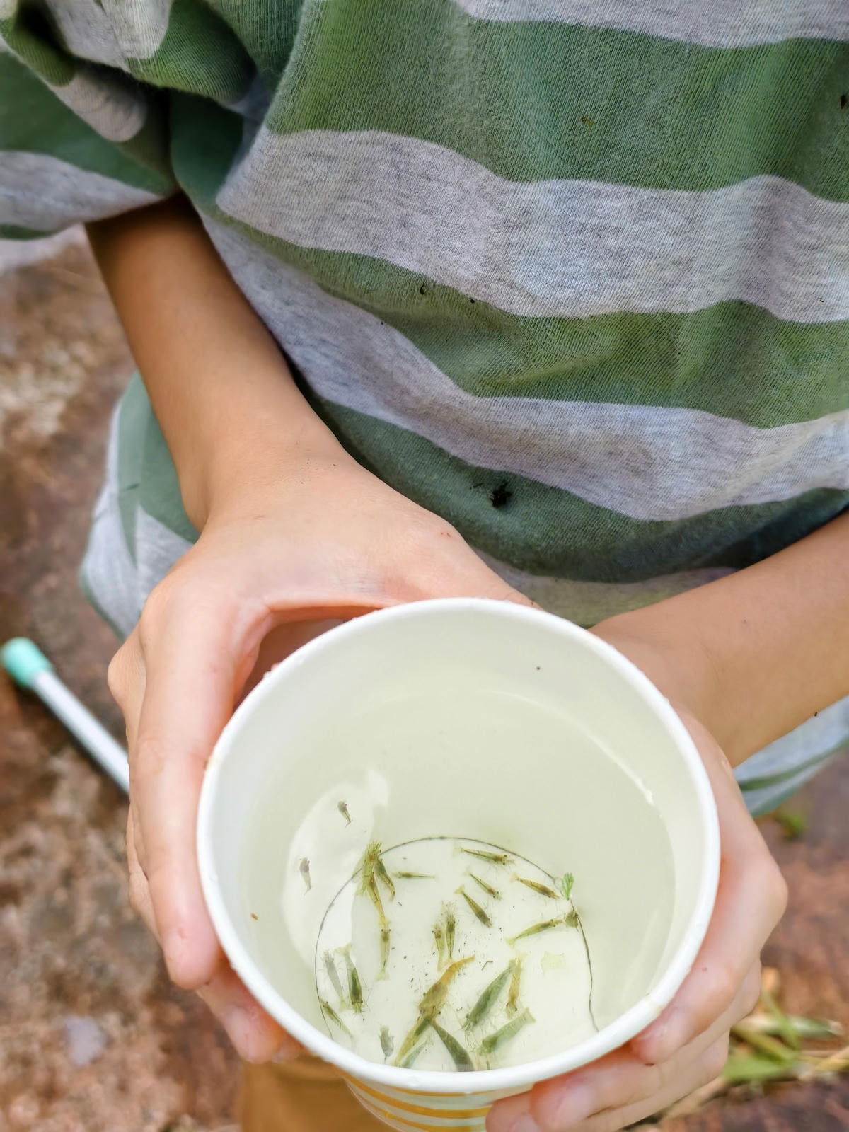 【宜蘭免費秘境】雷公埤|免門票親子戲水池,夏日超涼爽,還有落 【宜蘭免費秘境】雷公埤|免門票親子戲水池,夏日超涼爽,還有落