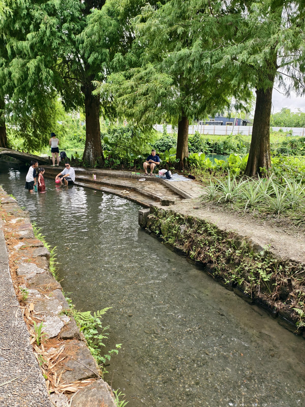 【宜蘭免費秘境】雷公埤|免門票親子戲水池,夏日超涼爽,還有落 【宜蘭免費秘境】雷公埤|免門票親子戲水池,夏日超涼爽,還有落