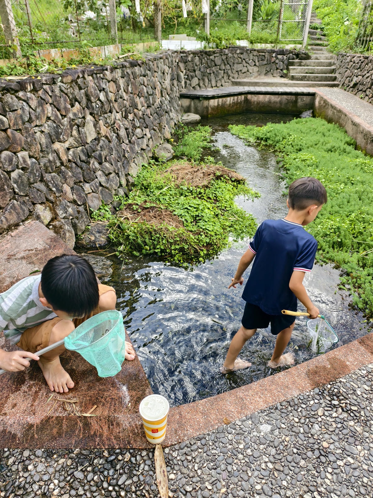 【宜蘭免費秘境】雷公埤|免門票親子戲水池,夏日超涼爽,還有落 【宜蘭免費秘境】雷公埤|免門票親子戲水池,夏日超涼爽,還有落