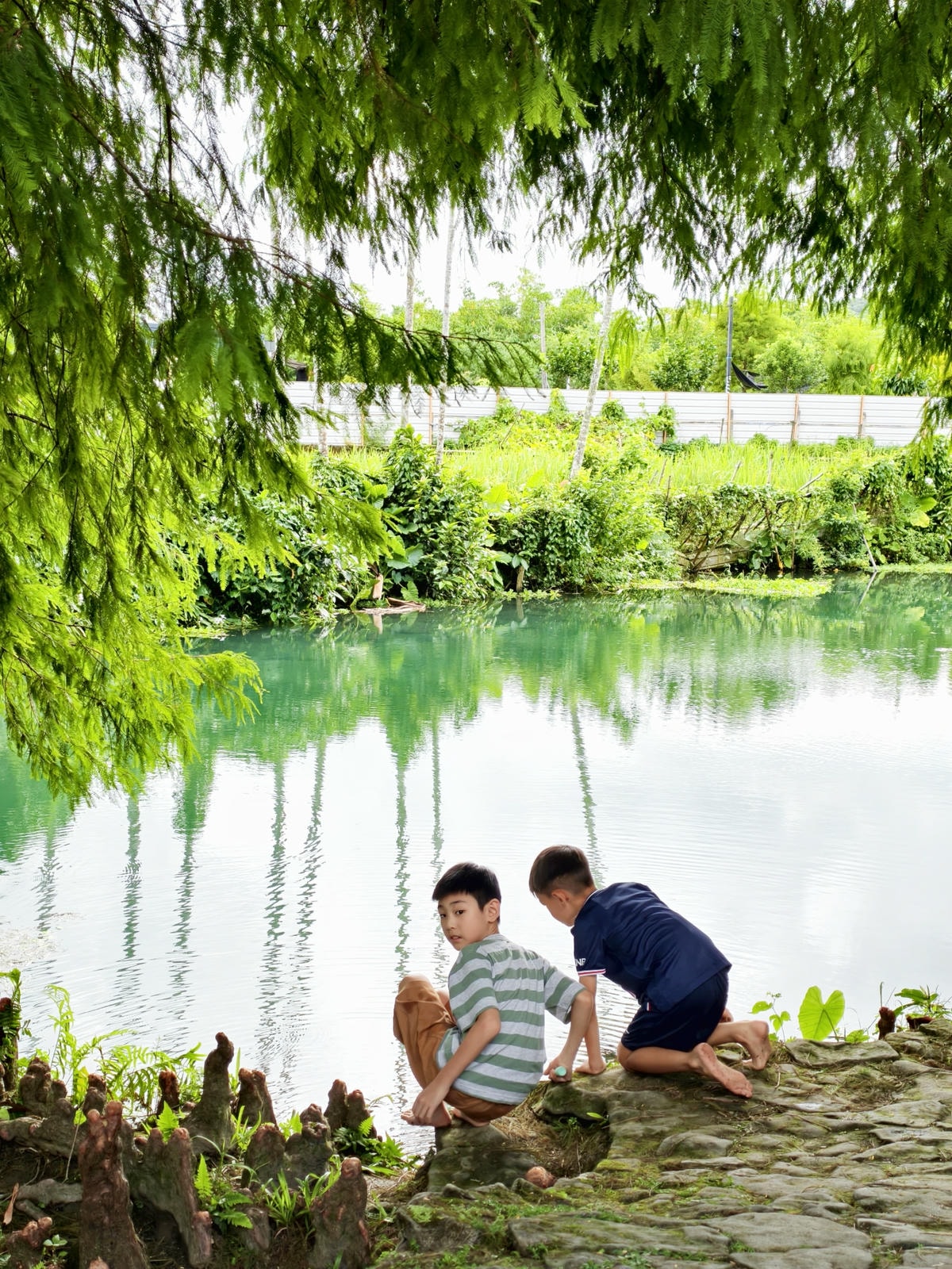 【宜蘭免費秘境】雷公埤|免門票親子戲水池,夏日超涼爽,還有落 【宜蘭免費秘境】雷公埤|免門票親子戲水池,夏日超涼爽,還有落