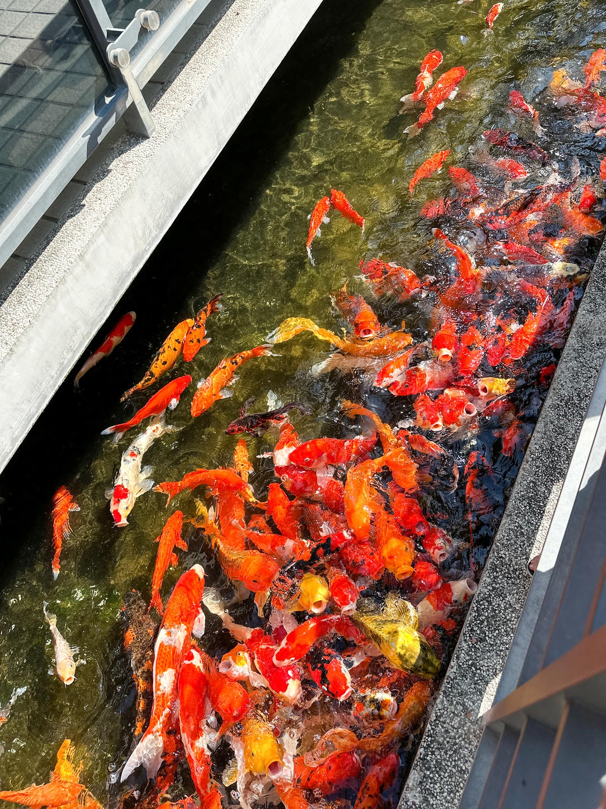 【彰化親子景點】全世界最大水龍頭 ，滑水道、沙坑、互動親子『