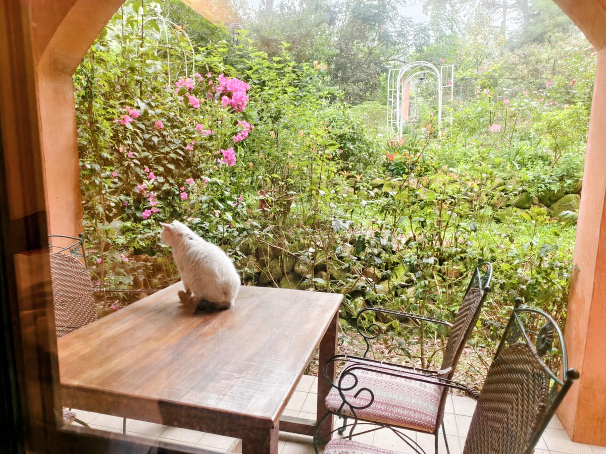 【南投埔里住宿推薦】近期住到最喜歡的南投民宿|布拉姆索鄉村民 【南投埔里住宿推薦】近期住到最喜歡的南投民宿|布拉姆索鄉村民