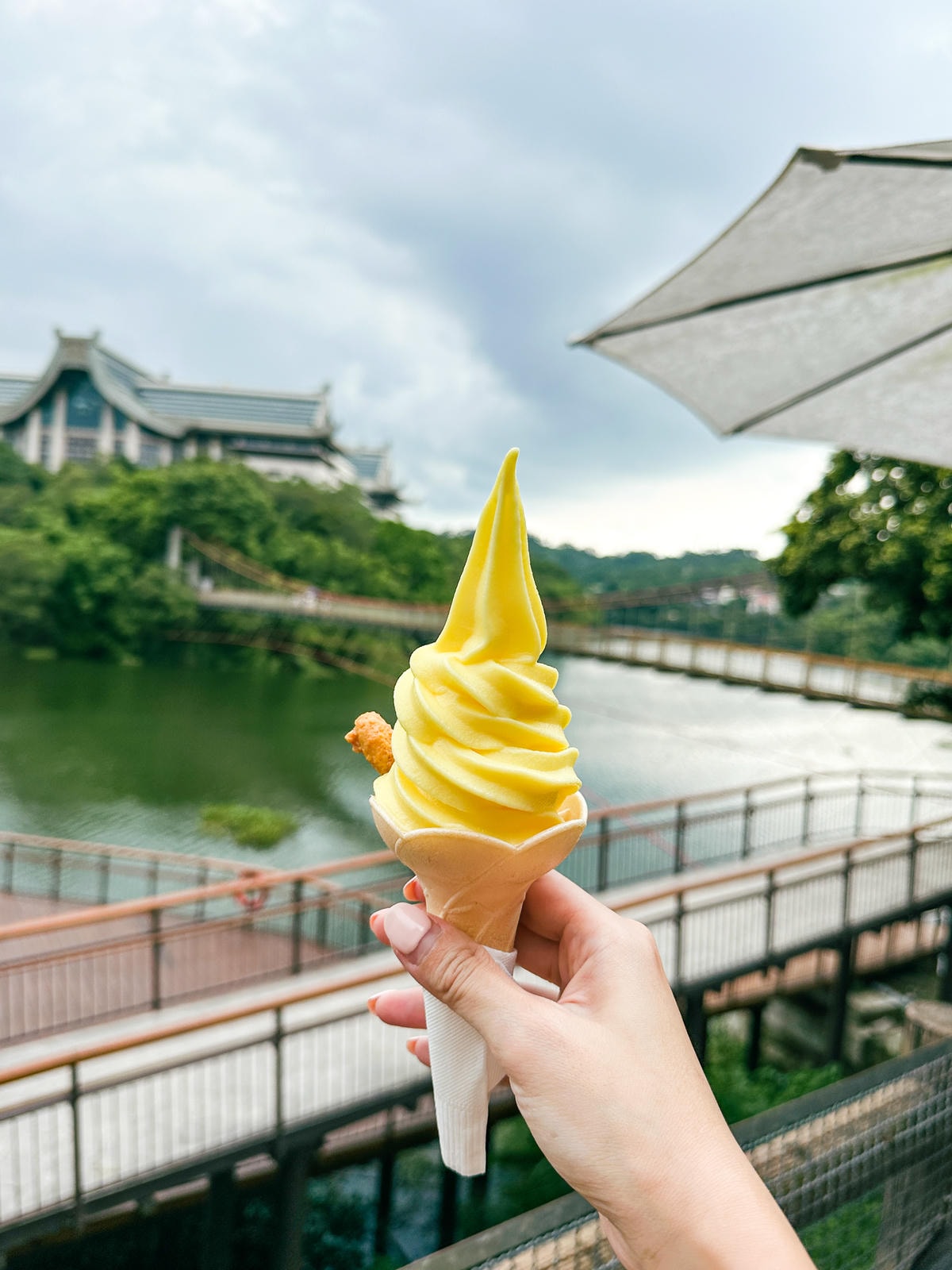 【新竹景點】三月可賞風鈴木,峨眉湖『峨眉湖環湖步道』 【新竹景點】三月可賞風鈴木,峨眉湖『峨眉湖環湖步道』