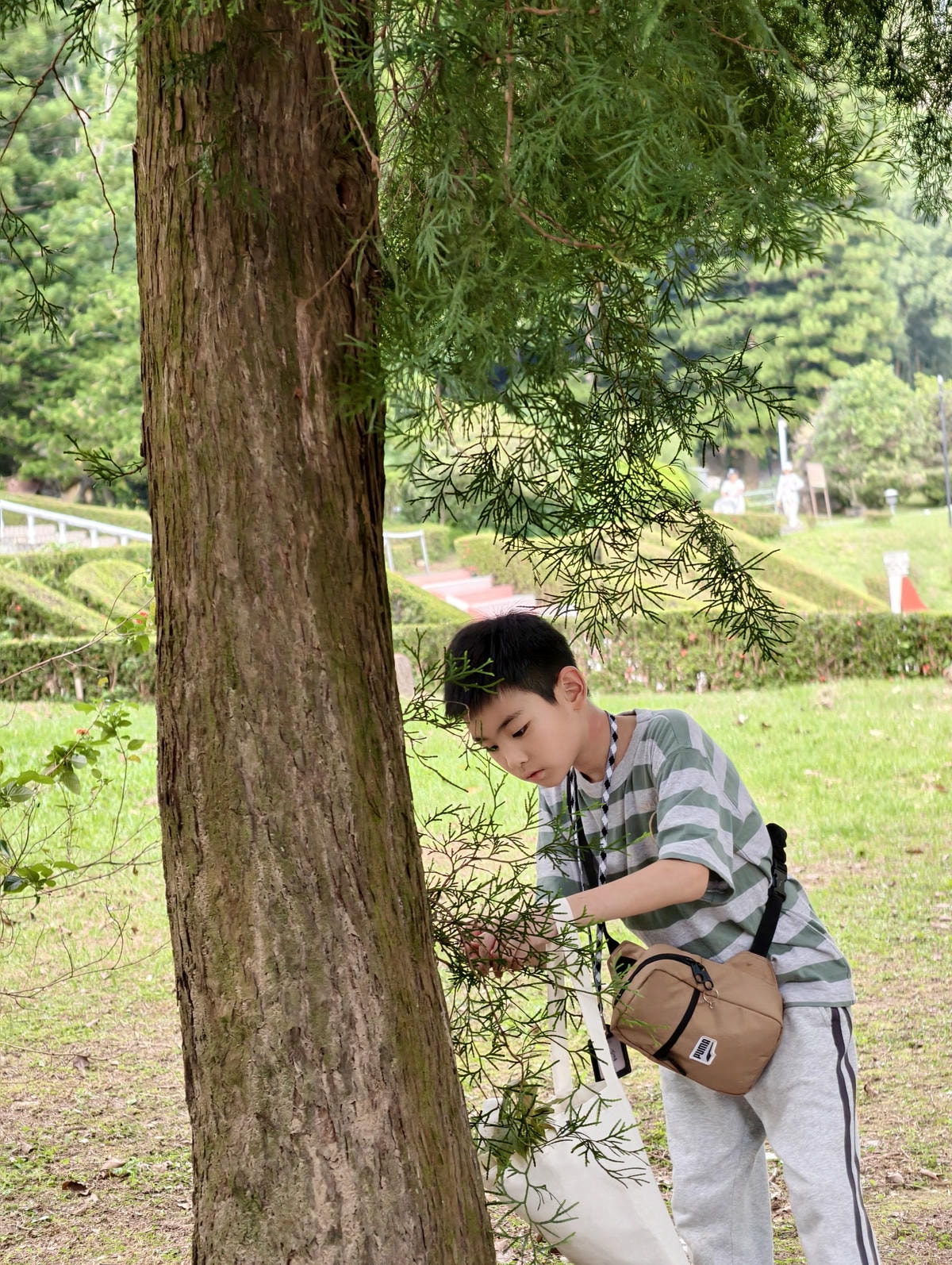 【南投泰雅渡假村】守護木3島 勇士試煉之旅 行程心得|交通便 【南投泰雅渡假村】守護木3島 勇士試煉之旅 行程心得|交通便