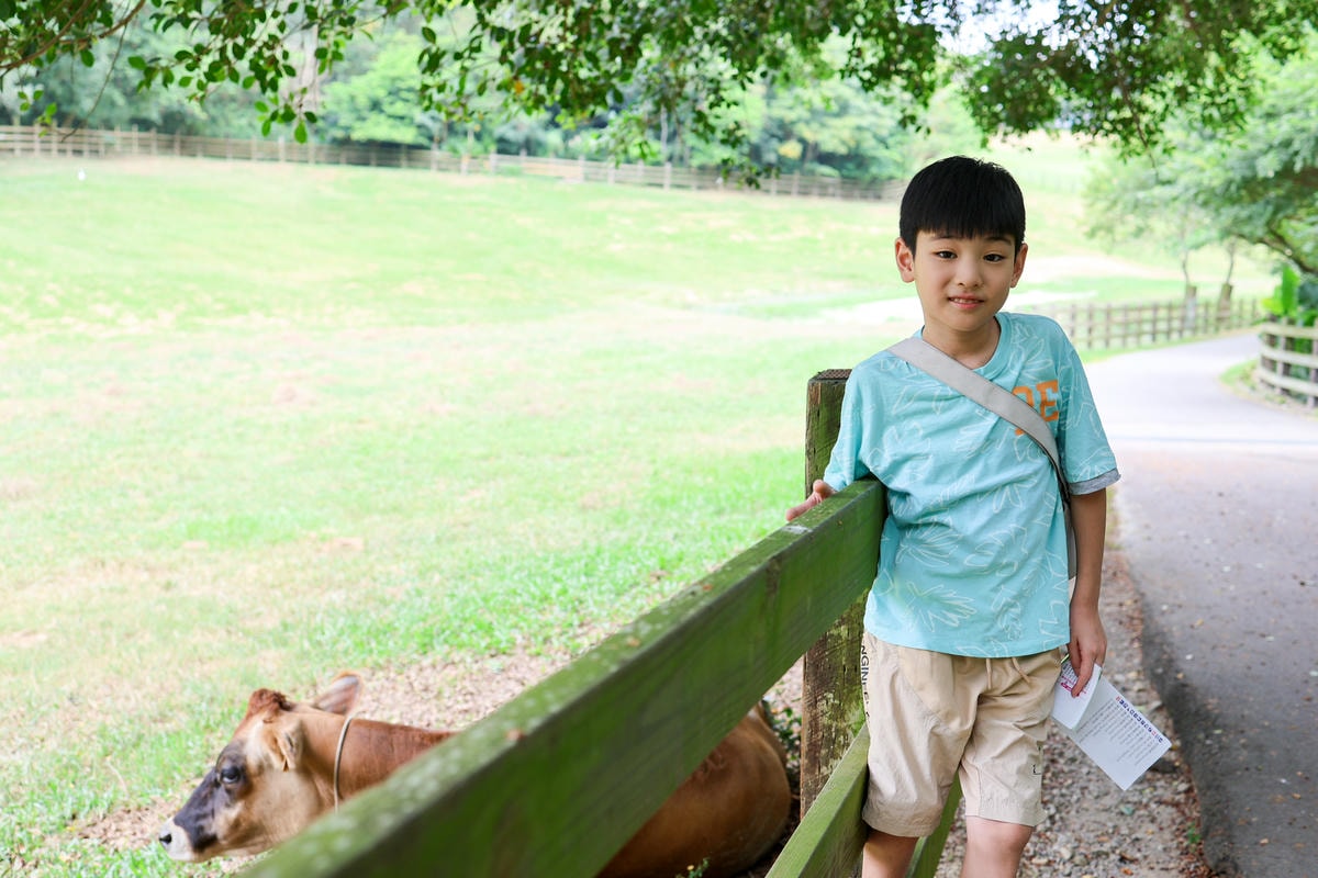 【苗栗景點】房間新改裝，小動物餵食好可愛『飛牛牧場』