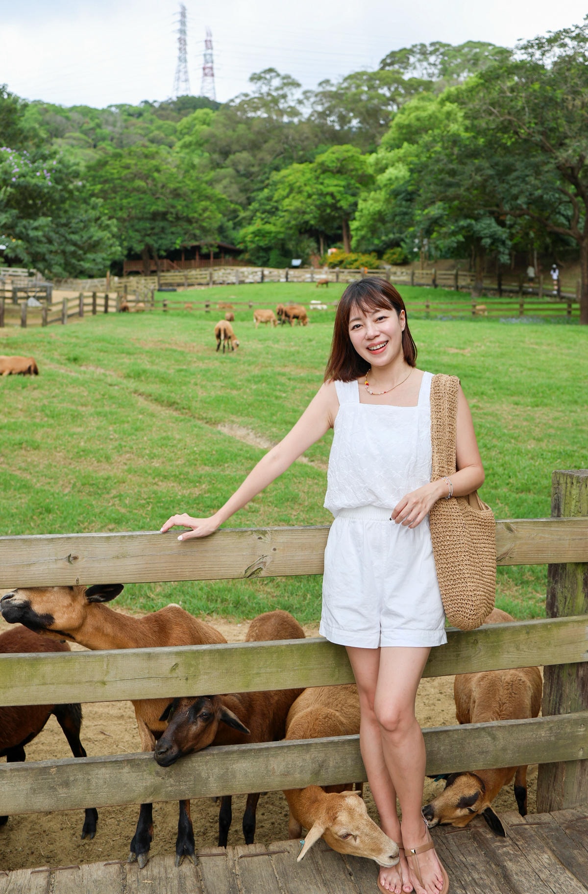 【苗栗景點】房間新改裝，小動物餵食好可愛『飛牛牧場』