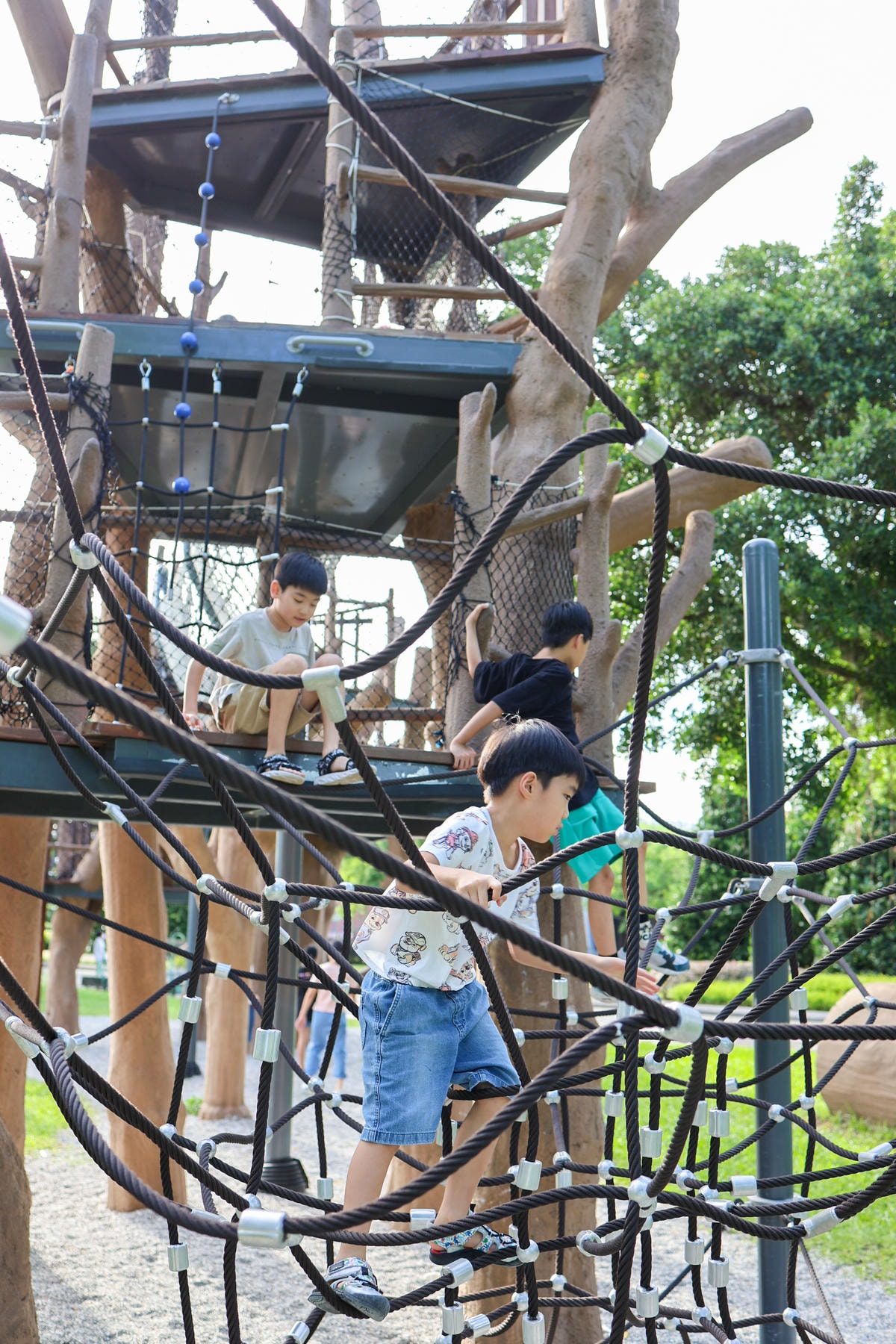 【台北特色公園推薦】市區也有森林遊樂場,『花博新生公園』森林 【台北特色公園推薦】市區也有森林遊樂場,『花博新生公園』森林