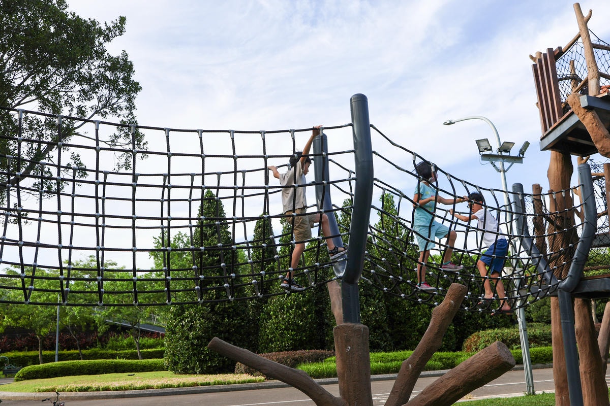 【台北特色公園推薦】市區也有森林遊樂場,『花博新生公園』森林 【台北特色公園推薦】市區也有森林遊樂場,『花博新生公園』森林