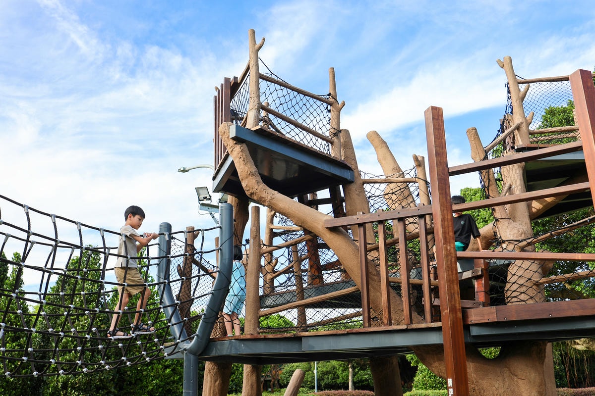 【台北特色公園推薦】市區也有森林遊樂場,『花博新生公園』森林 【台北特色公園推薦】市區也有森林遊樂場,『花博新生公園』森林