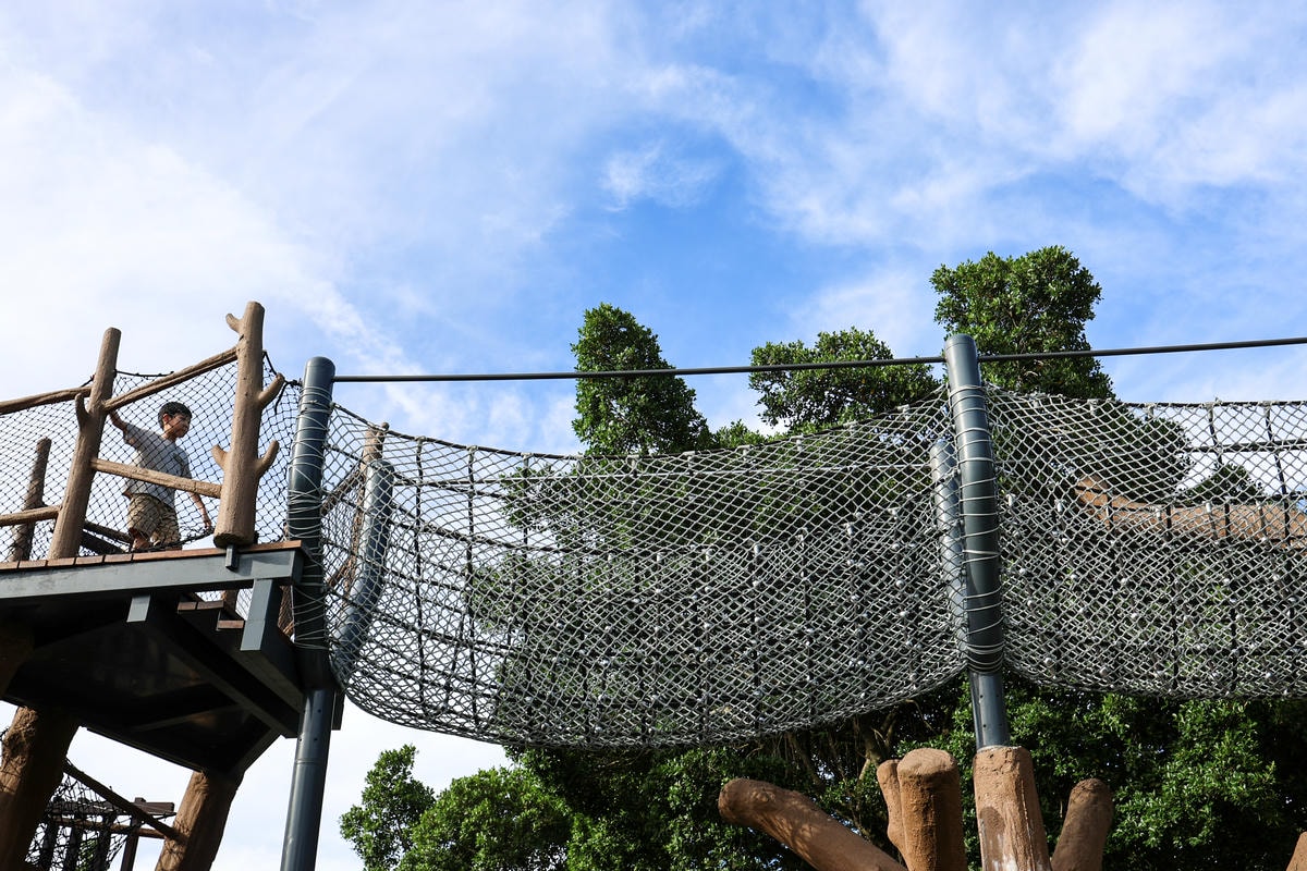 【台北特色公園推薦】市區也有森林遊樂場,『花博新生公園』森林 【台北特色公園推薦】市區也有森林遊樂場,『花博新生公園』森林