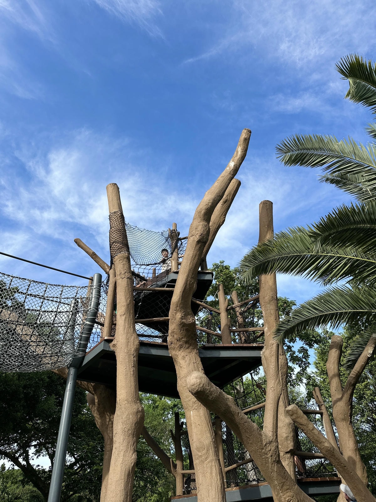 【台北特色公園推薦】市區也有森林遊樂場,『花博新生公園』森林 【台北特色公園推薦】市區也有森林遊樂場,『花博新生公園』森林