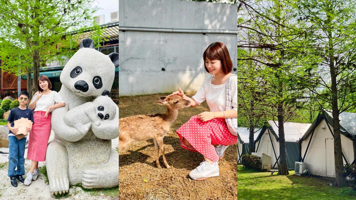 【南投景點】埔里景點推薦|水与松萌萌園正式試營運!森林系親子