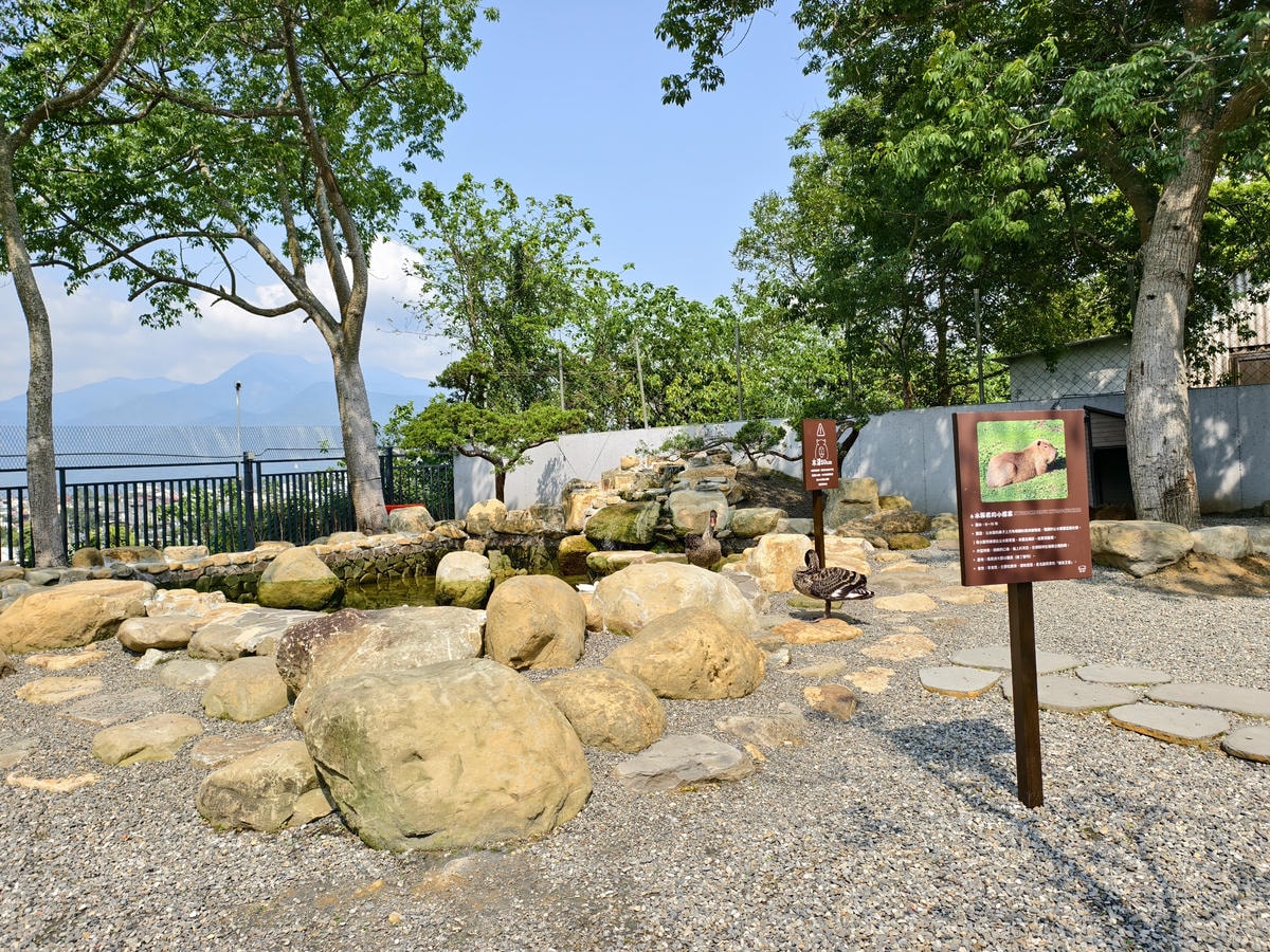 【南投景點】埔里景點推薦|水与松萌萌園正式試營運!森林系親子 【南投景點】埔里景點推薦|水与松萌萌園正式試營運!森林系親子