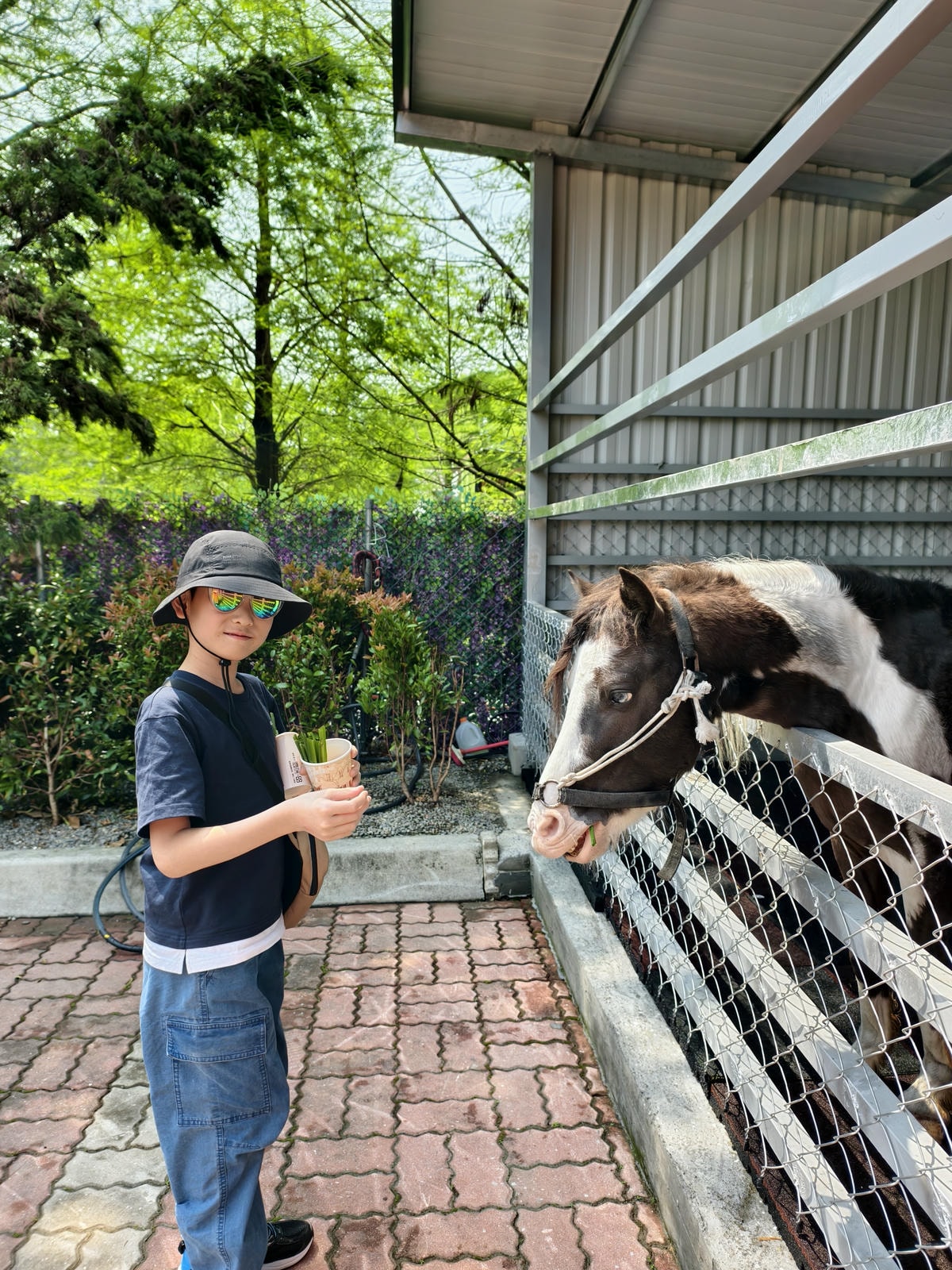 【南投景點】埔里景點推薦|水与松萌萌園正式試營運!森林系親子 【南投景點】埔里景點推薦|水与松萌萌園正式試營運!森林系親子