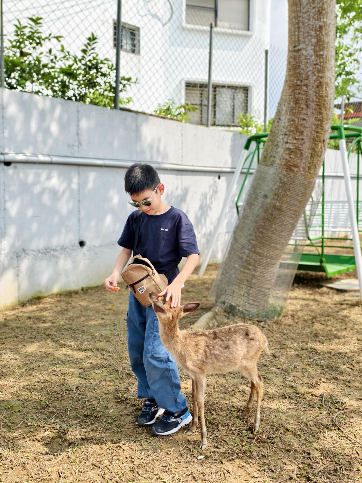 【南投景點】埔里景點推薦|水与松萌萌園正式試營運!森林系親子 【南投景點】埔里景點推薦|水与松萌萌園正式試營運!森林系親子