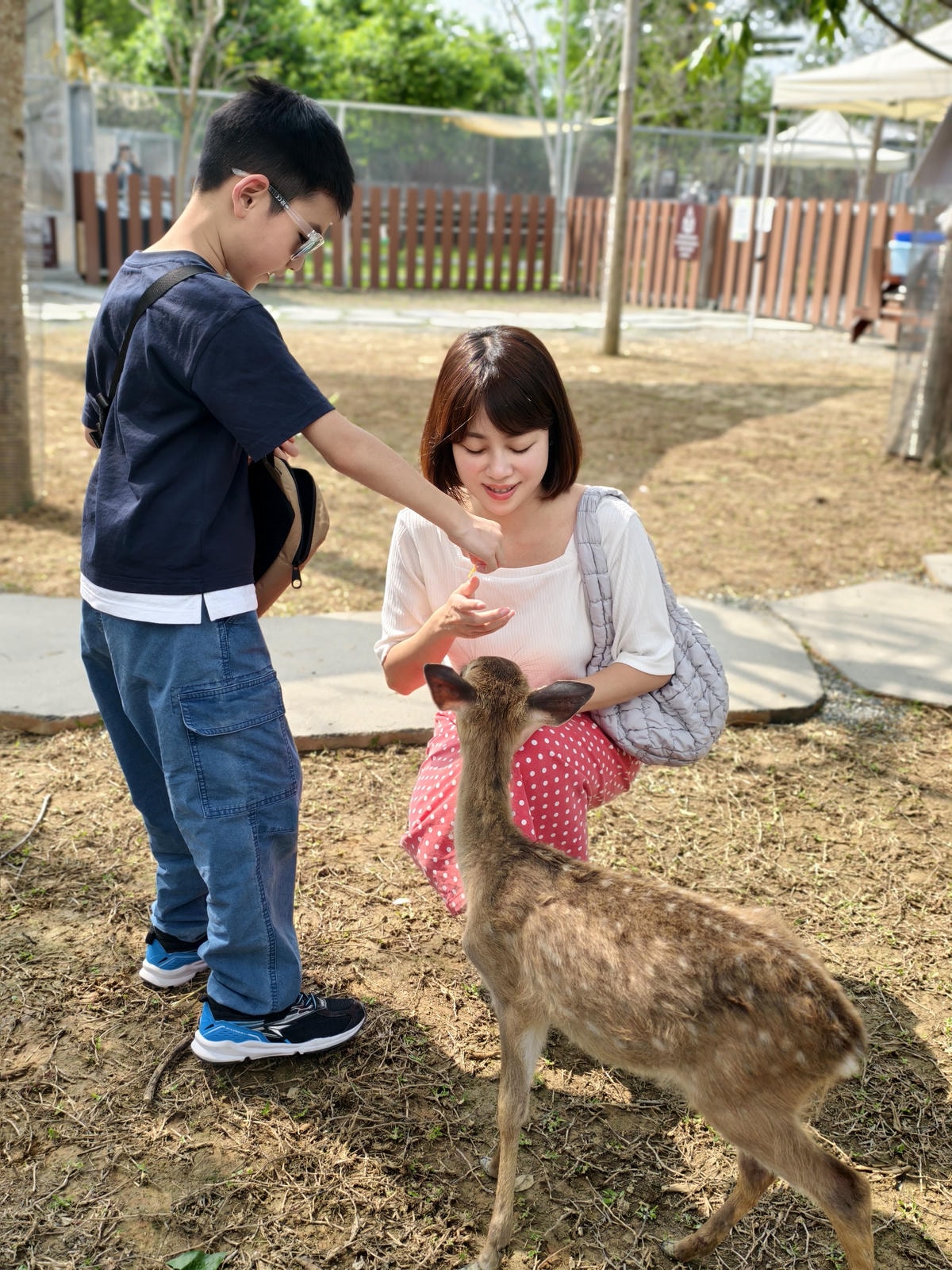 【南投景點】埔里景點推薦|水与松萌萌園正式試營運!森林系親子 【南投景點】埔里景點推薦|水与松萌萌園正式試營運!森林系親子