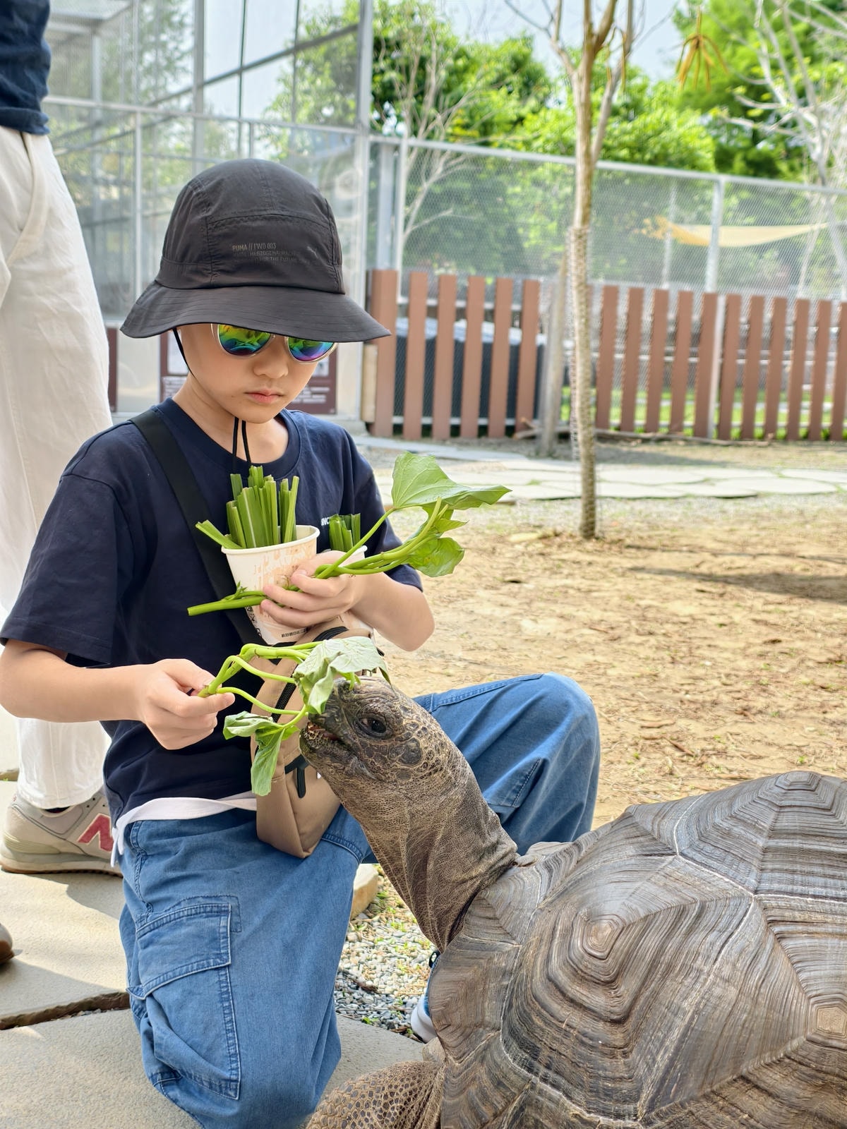 【南投景點】埔里景點推薦|水与松萌萌園正式試營運!森林系親子 【南投景點】埔里景點推薦|水与松萌萌園正式試營運!森林系親子
