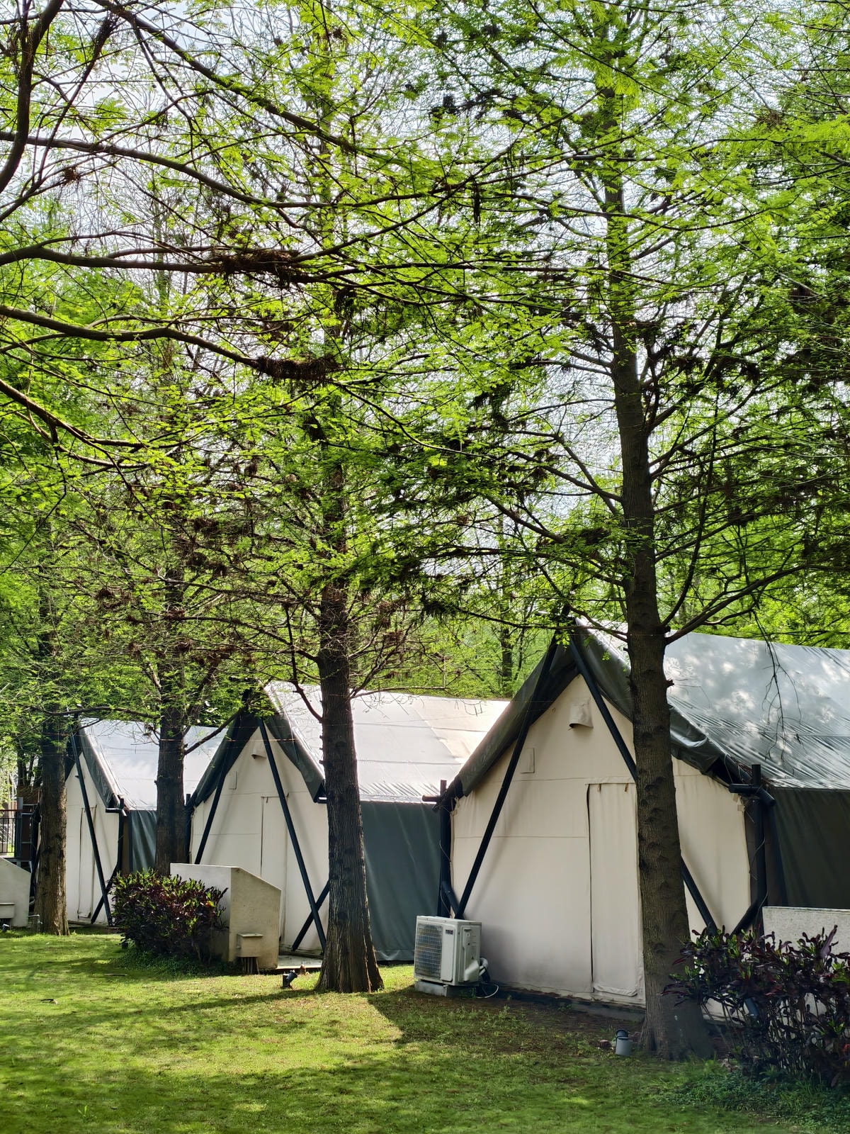 【南投景點】埔里景點推薦|水与松萌萌園正式試營運!森林系親子 【南投景點】埔里景點推薦|水与松萌萌園正式試營運!森林系親子