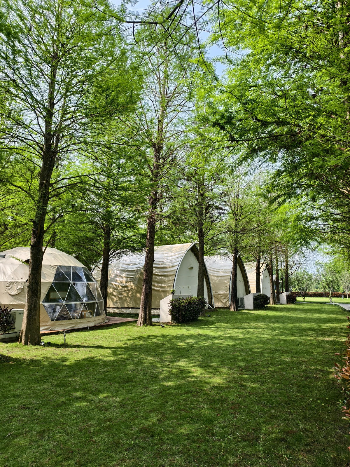 【南投景點】埔里景點推薦|水与松萌萌園正式試營運!森林系親子 【南投景點】埔里景點推薦|水与松萌萌園正式試營運!森林系親子