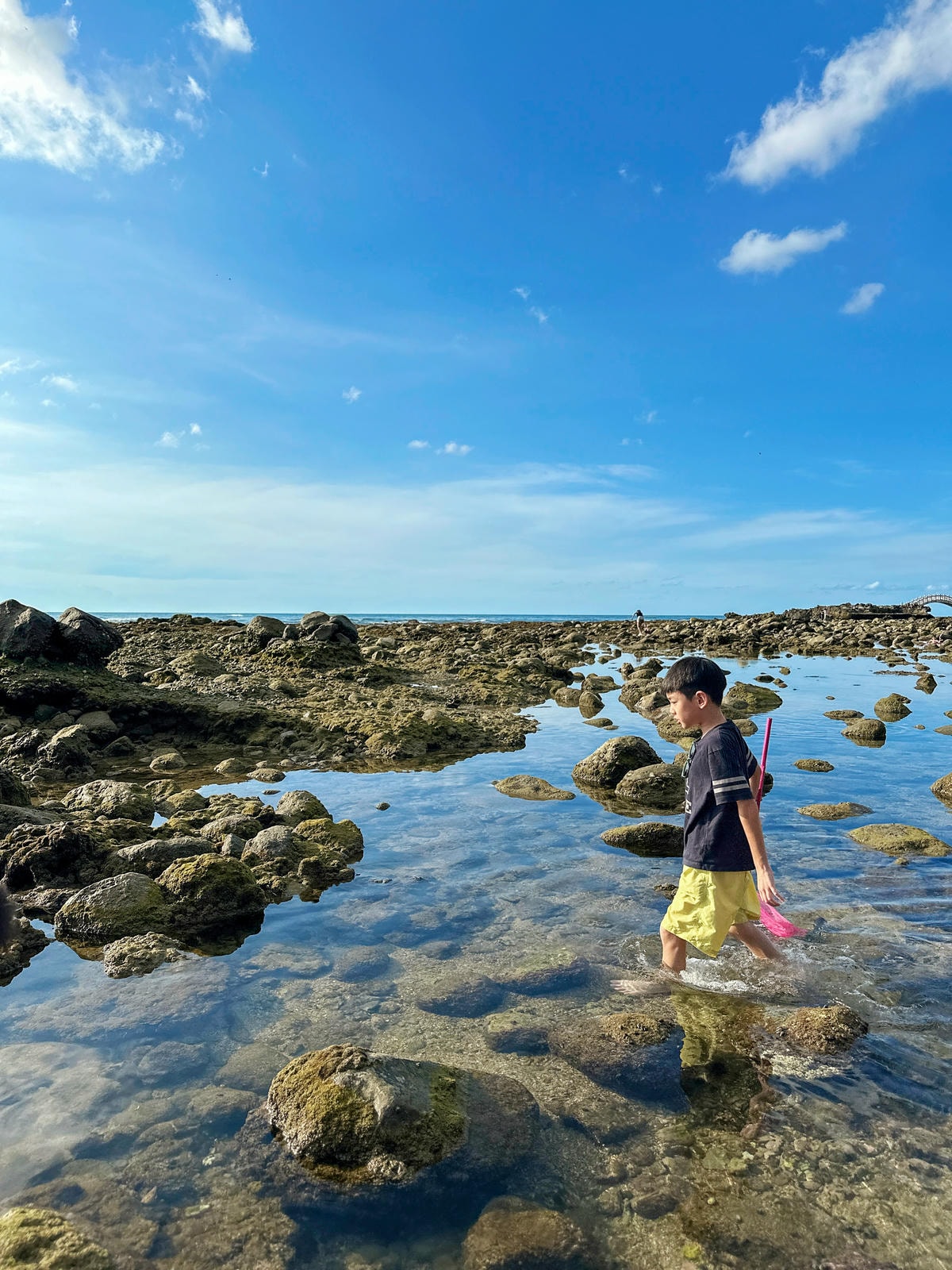 【新北玩水景點】親子生態旅人『石門洞潮間帶』抓螃蟹囉！