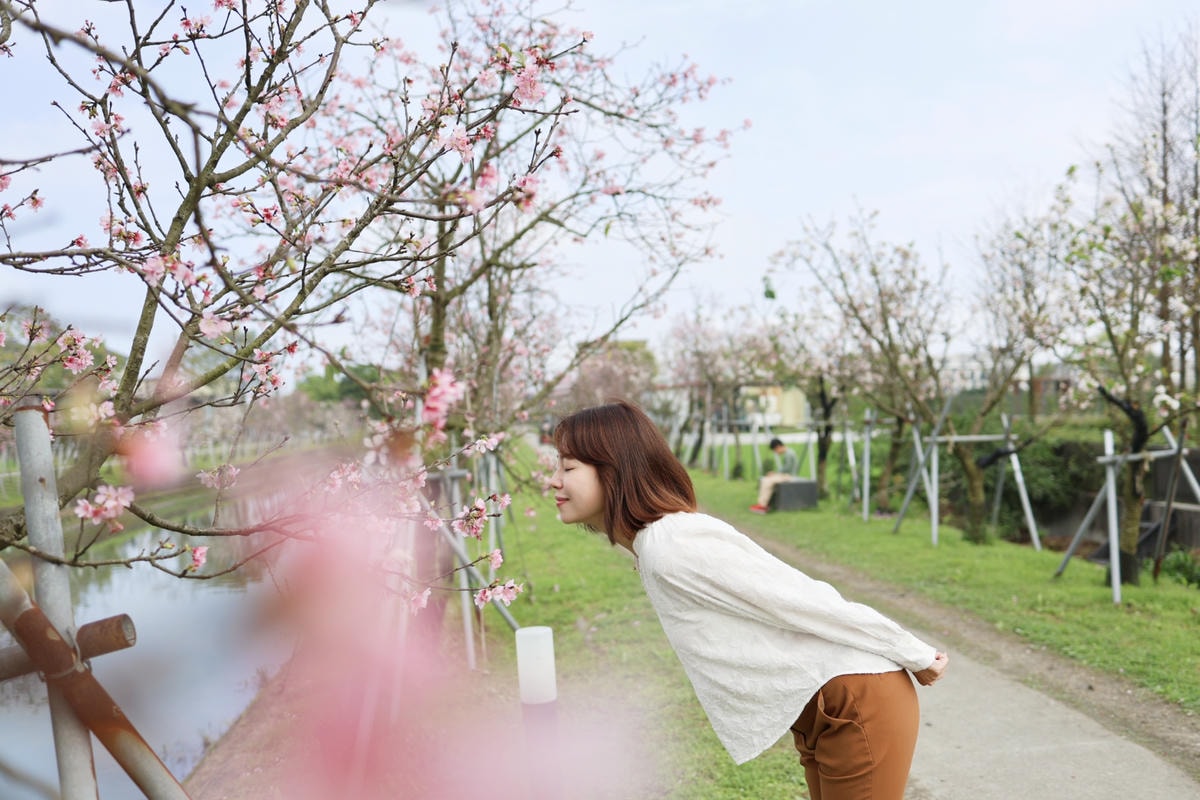 【宜蘭景點午餐】羅東車站『奧莉薇雅早午餐』吃飽再去羅莊櫻花步 【宜蘭景點午餐】羅東車站『奧莉薇雅早午餐』吃飽再去羅莊櫻花步
