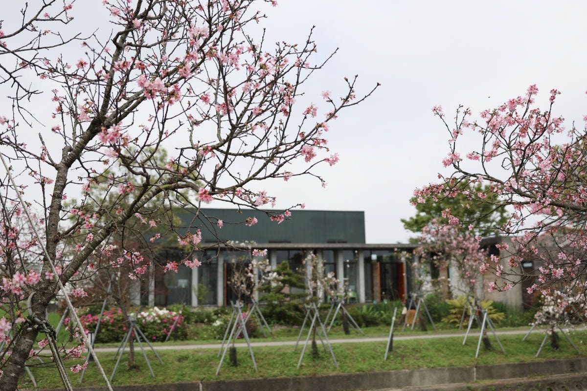 【宜蘭景點午餐】羅東車站『奧莉薇雅早午餐』吃飽再去羅莊櫻花步 【宜蘭景點午餐】羅東車站『奧莉薇雅早午餐』吃飽再去羅莊櫻花步