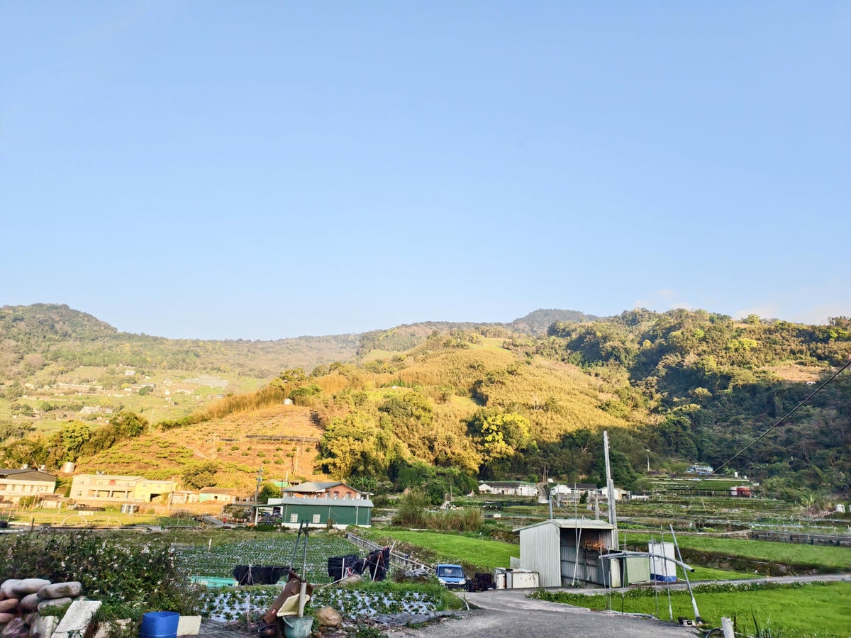 【苗栗景點】苗栗大湖採草莓，大湖高山草莓祕境『劉正男高冷草莓