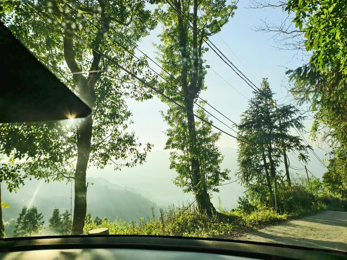 【苗栗景點】苗栗大湖採草莓，大湖高山草莓祕境『劉正男高冷草莓