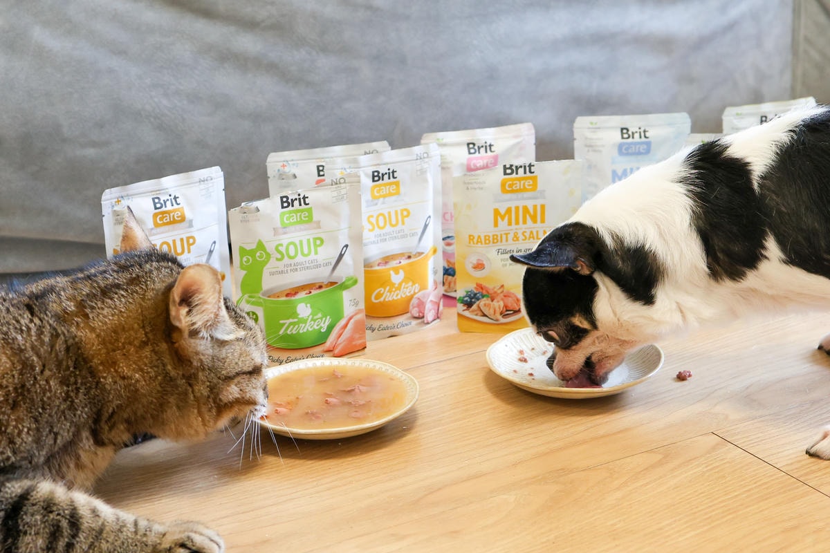 【貓犬餐包推薦】捷克原裝進口『Brit咘莉』犬餐包、貓湯包 